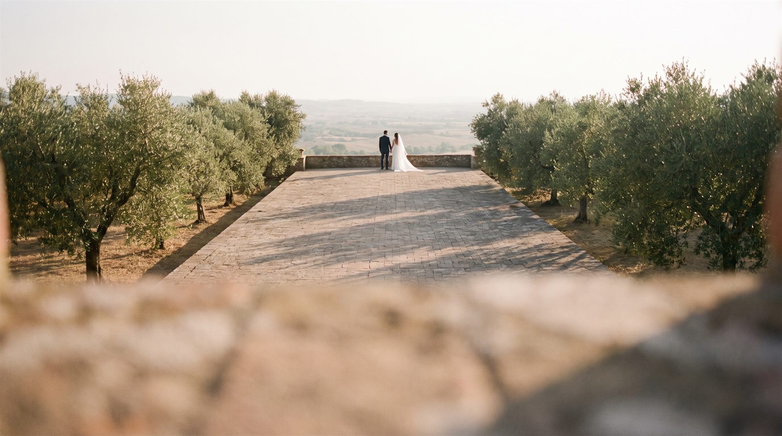 A couple standing at the far end of a stone terrace lined with olive trees in late afternoon light.